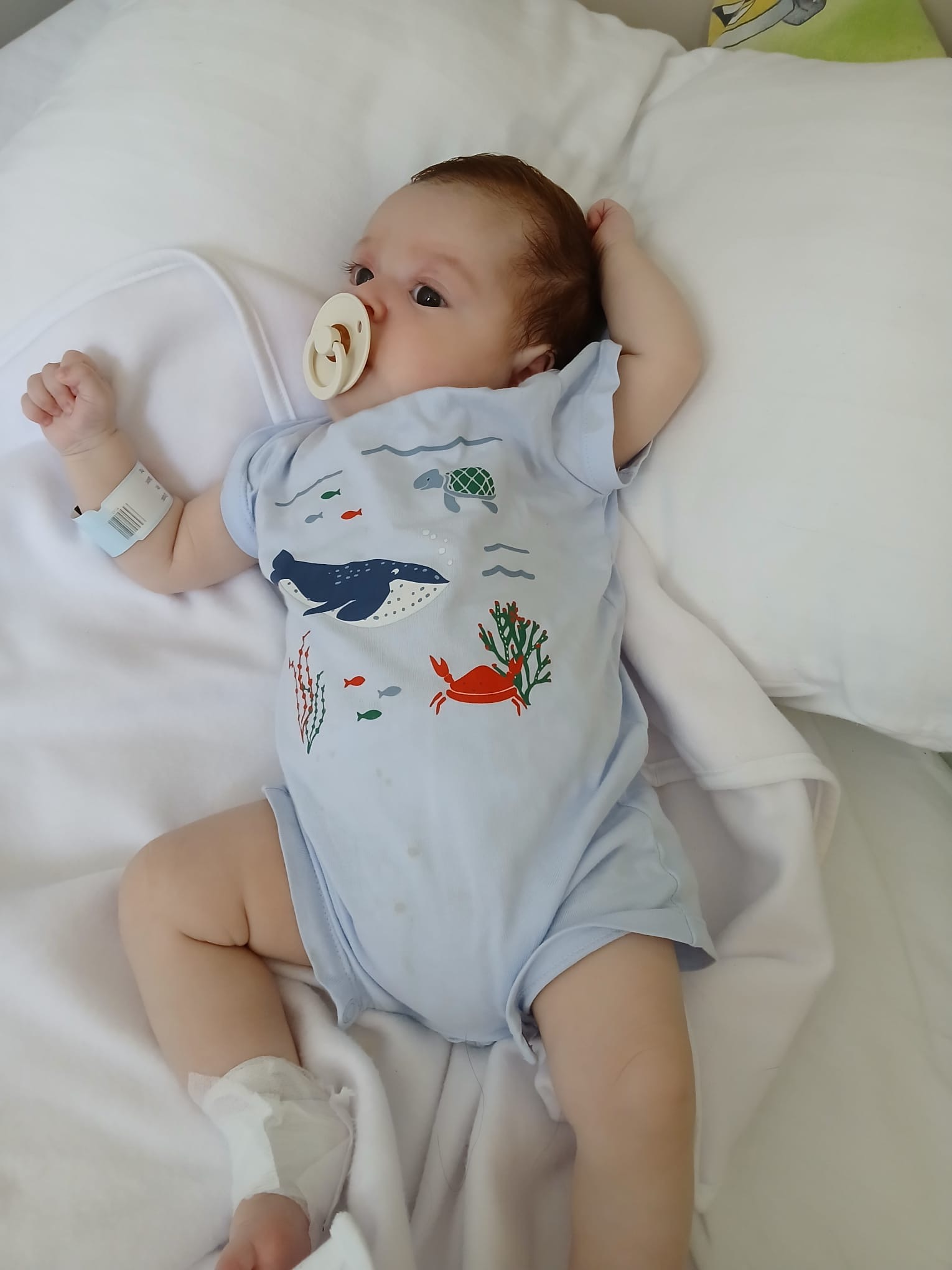 Maria are nevoie de ajutor!
